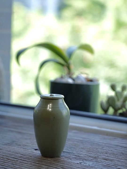 隐山堂｜山青橄榄茶罐