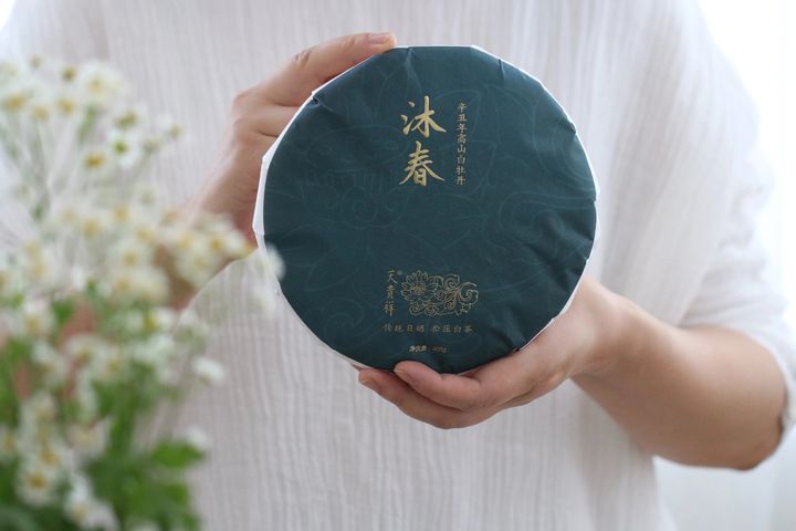2021年沐春白牡丹