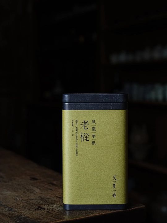 凤凰单丛｜老枞